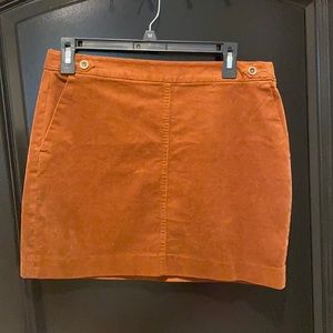 Banana Republic Skirt